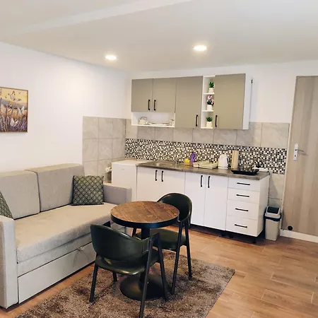 Cozy Old Town - Free Parking 公寓 塞拉耶佛