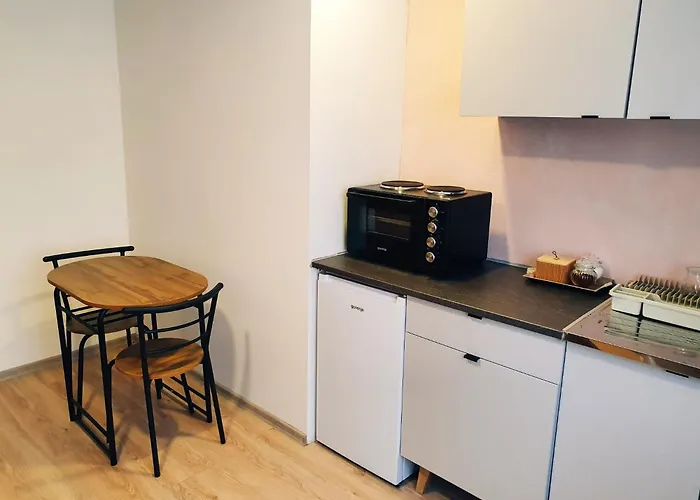 公寓 Cozy Old Town - Free Parking