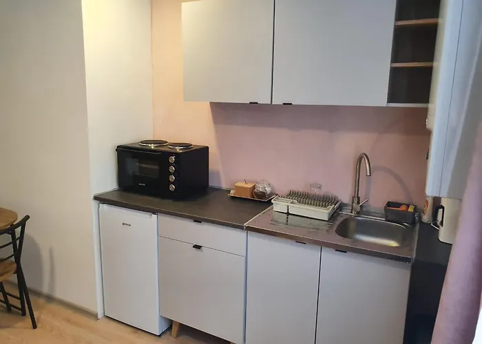 Cozy Old Town - Free Parking * 塞拉耶佛