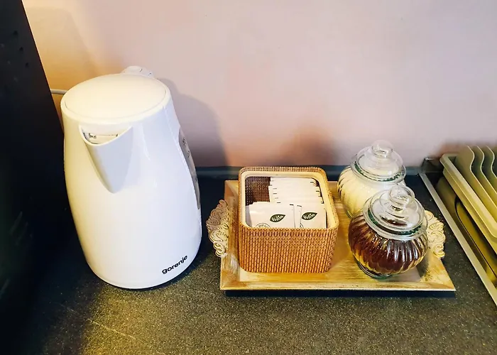 公寓 Cozy Old Town - Free Parking 塞拉耶佛