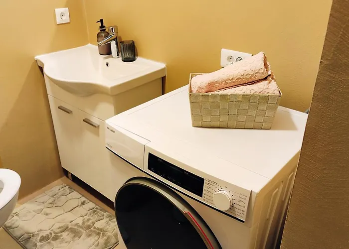 公寓 Cozy Old Town - Free Parking 塞拉耶佛