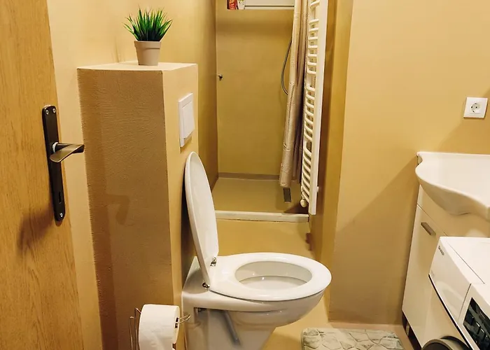 Cozy Old Town - Free Parking 公寓 *