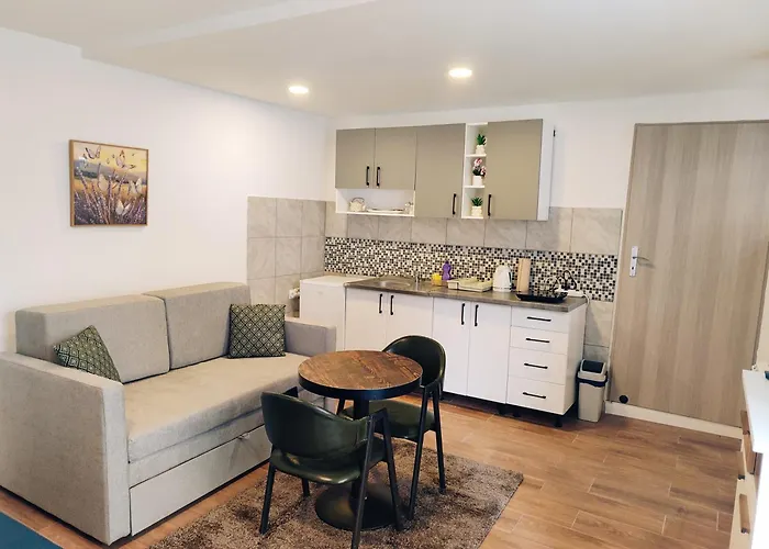 Cozy Old Town - Free Parking 公寓 塞拉耶佛