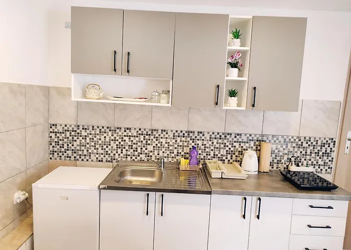 Cozy Old Town - Free Parking 公寓 塞拉耶佛