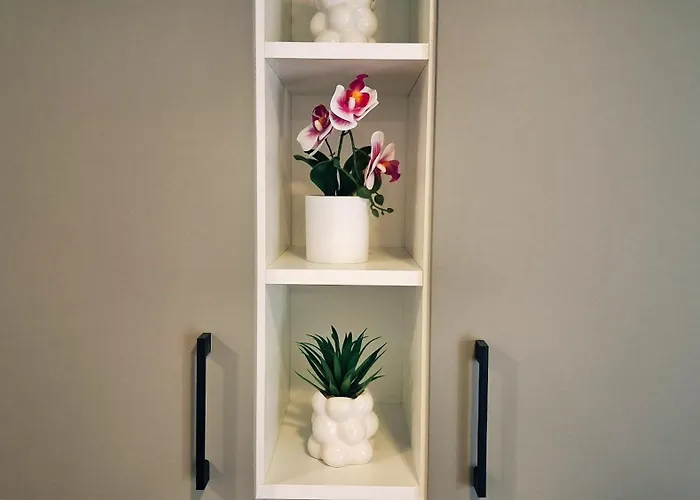 Cozy Old Town - Free Parking 公寓 *